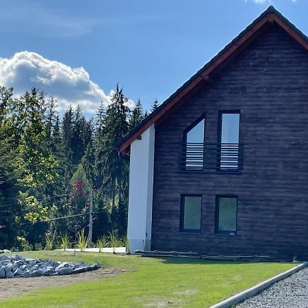 Willa Jaworzynka 1103 K Istebnej Exteriér fotografie